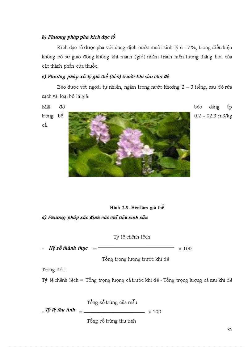 image for page Kỹ thuật sản xuất giống cá chép giống