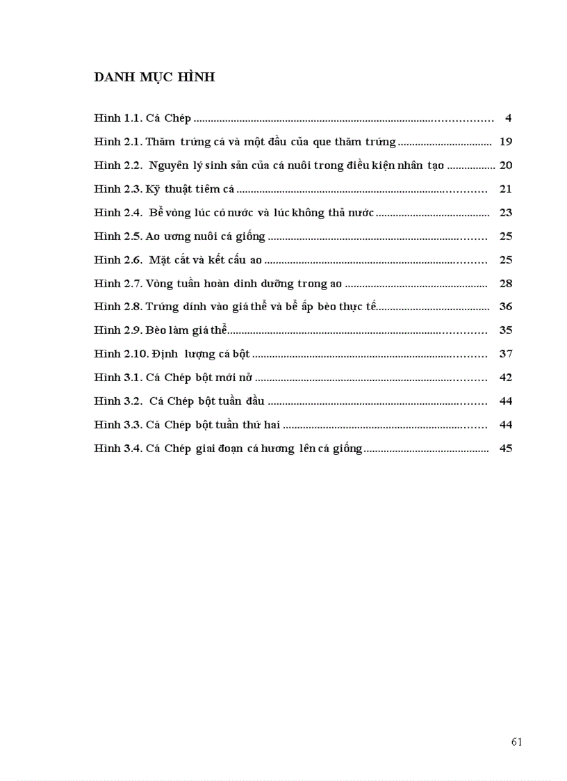 image for page Kỹ thuật sản xuất giống cá chép giống