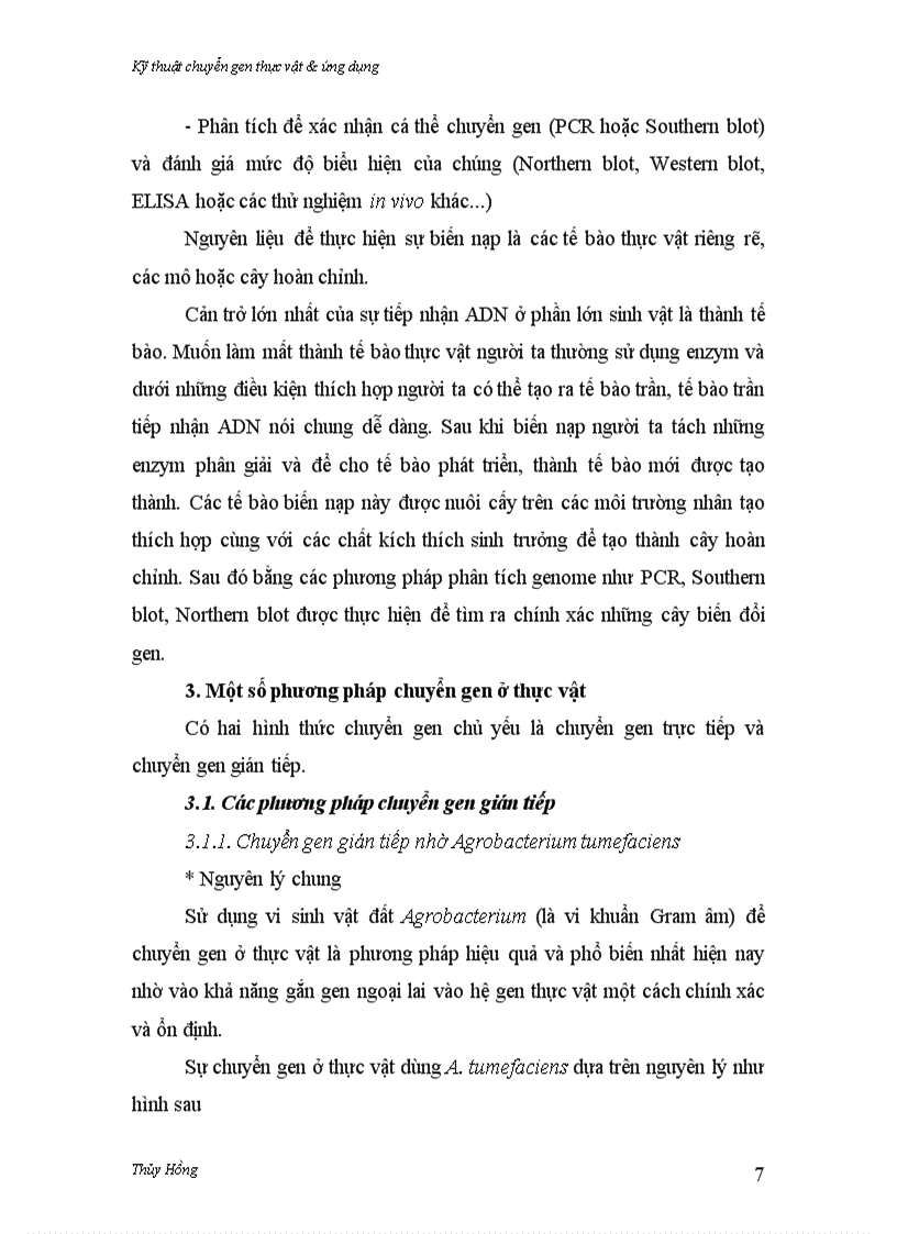 image for page Kỹ thuật chuyển gen thực vật ứng dụng
