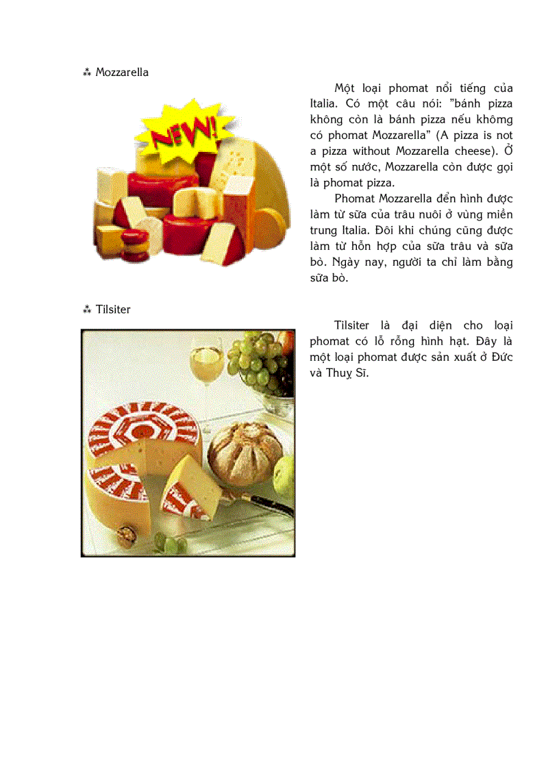 image for page Quy trình công nghệ sản xuất phô mai