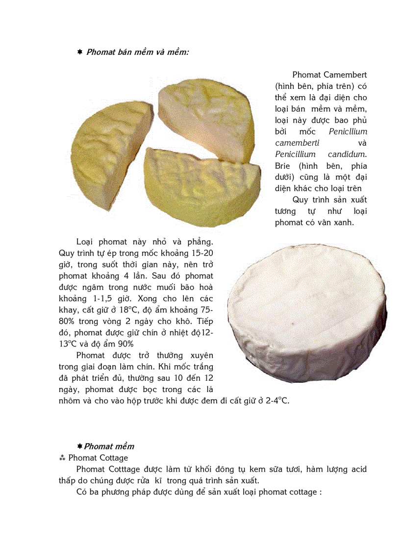 image for page Quy trình công nghệ sản xuất phô mai