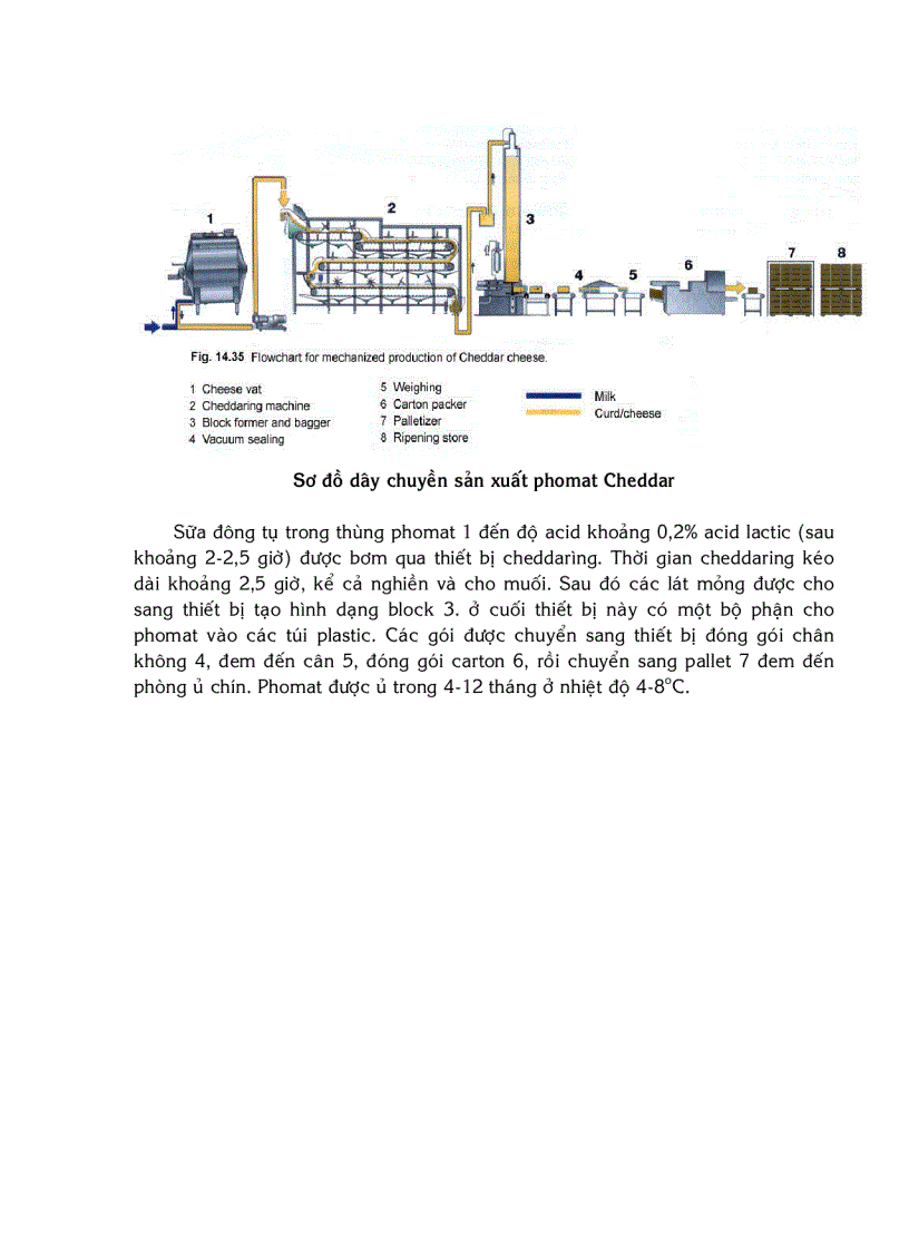 image for page Quy trình công nghệ sản xuất phô mai