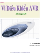 VI ĐIỀU KHIỂN AVR ATmega 128