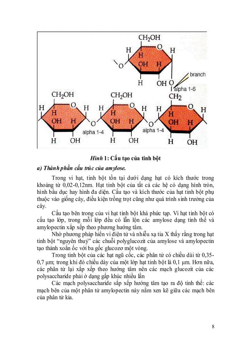 image for page Công nghệ sản xuất Maltodextrin từ tinh bột bắp chỉ số DE 10