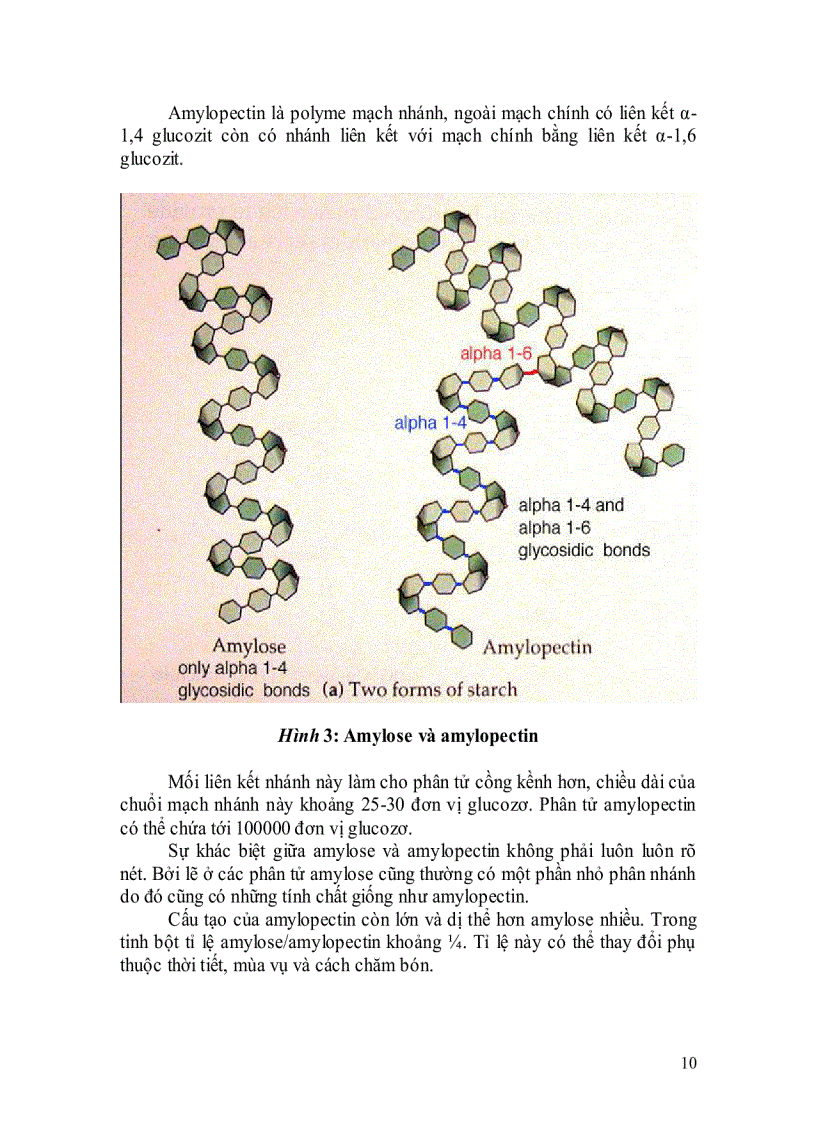 image for page Công nghệ sản xuất Maltodextrin từ tinh bột bắp chỉ số DE 10