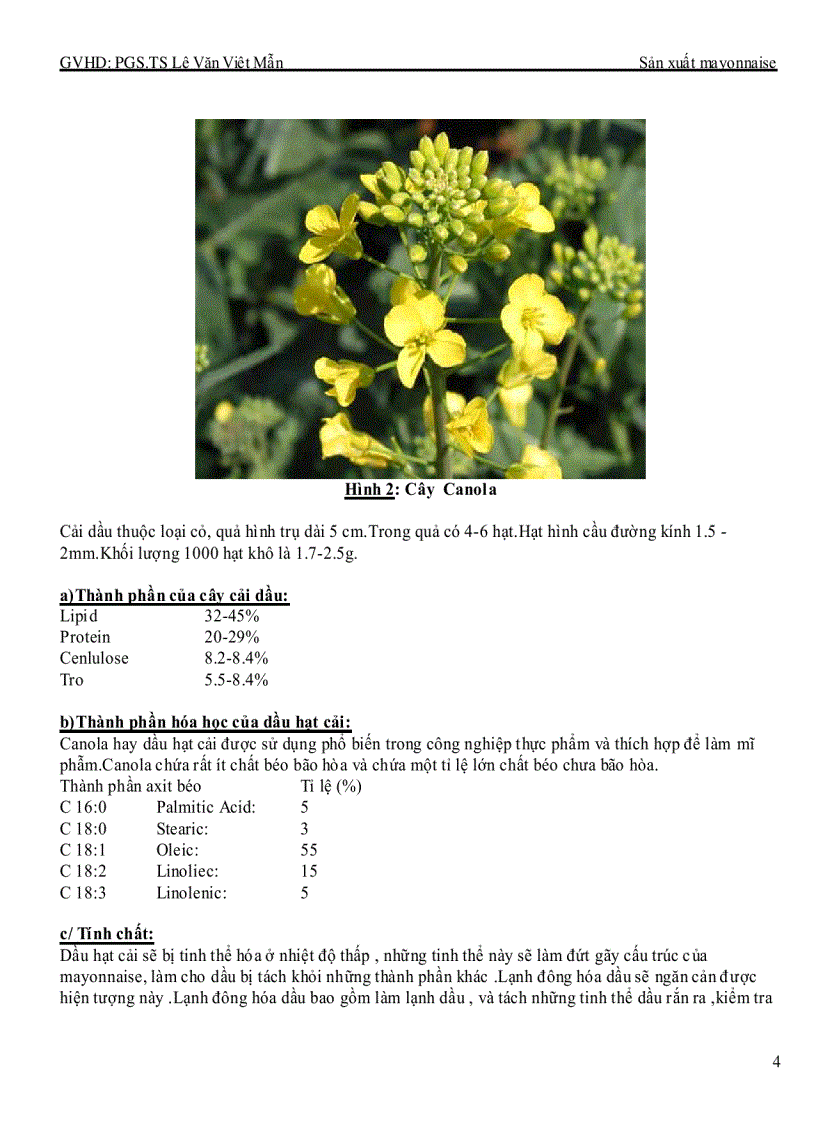 image for page Công nghệ sản xuất Mayonnaise