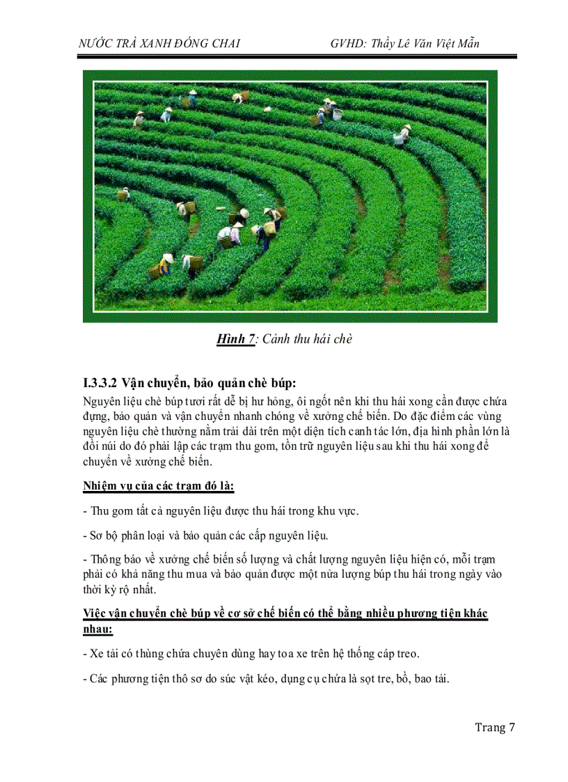 image for page Công nghệ chế biến nước trà xanh đóng lon