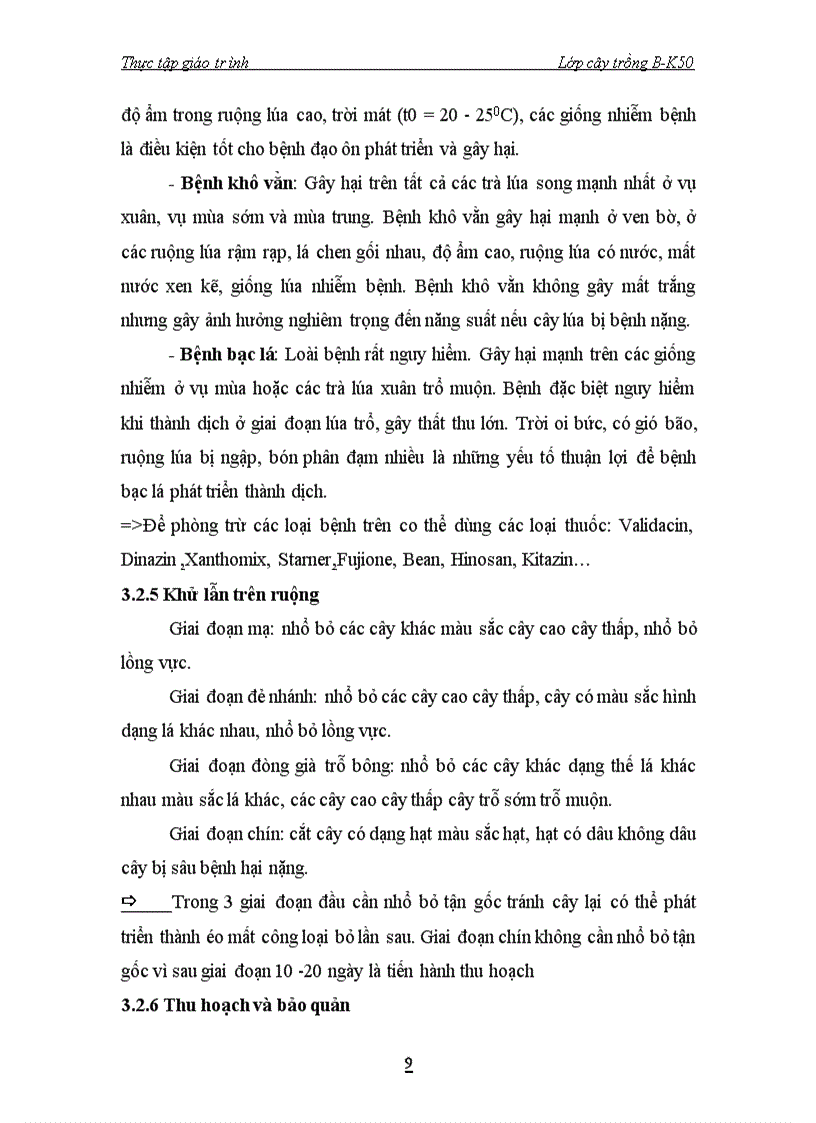 image for page Điều tra tình hình sản xuất hạt giống lúa và giống đậu tương tại Viện cây lương thực và cây thực phẩm Gia Lộc Hải Dương