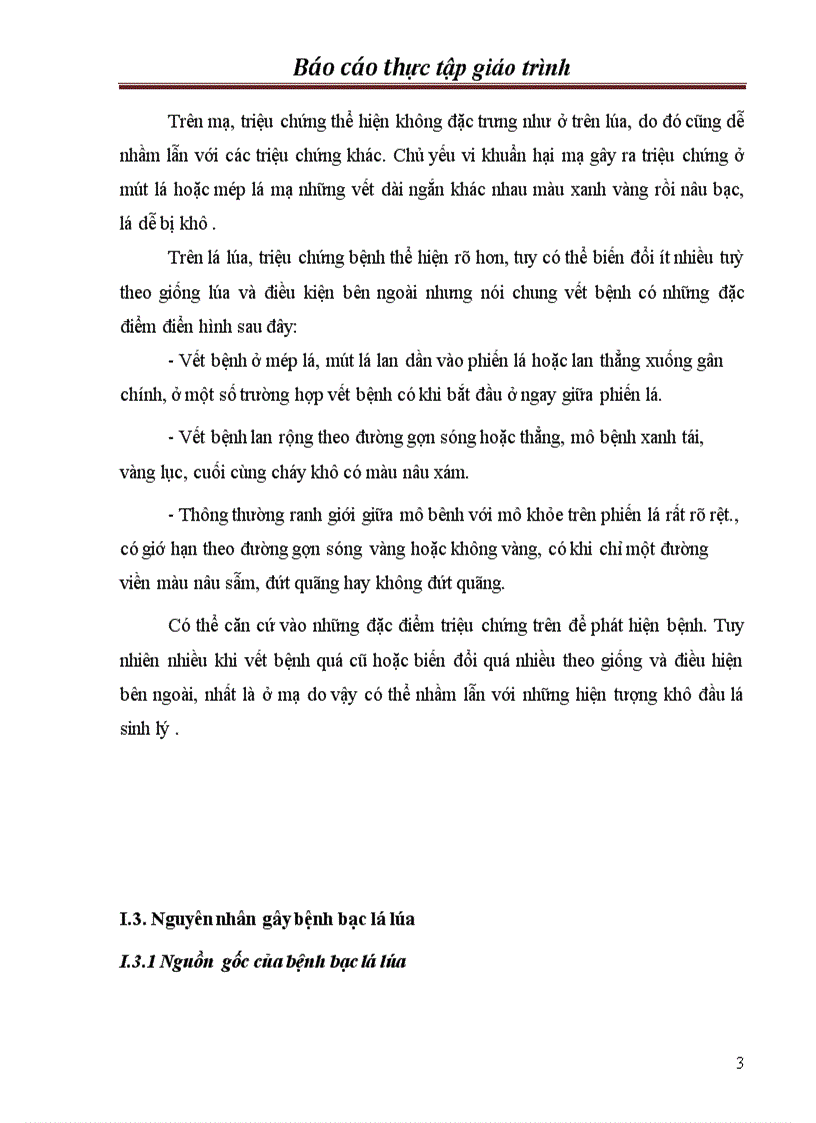 image for page Chọn tạo giống lúa kháng bạc lá trong hệ thống lúa lai hai dòng