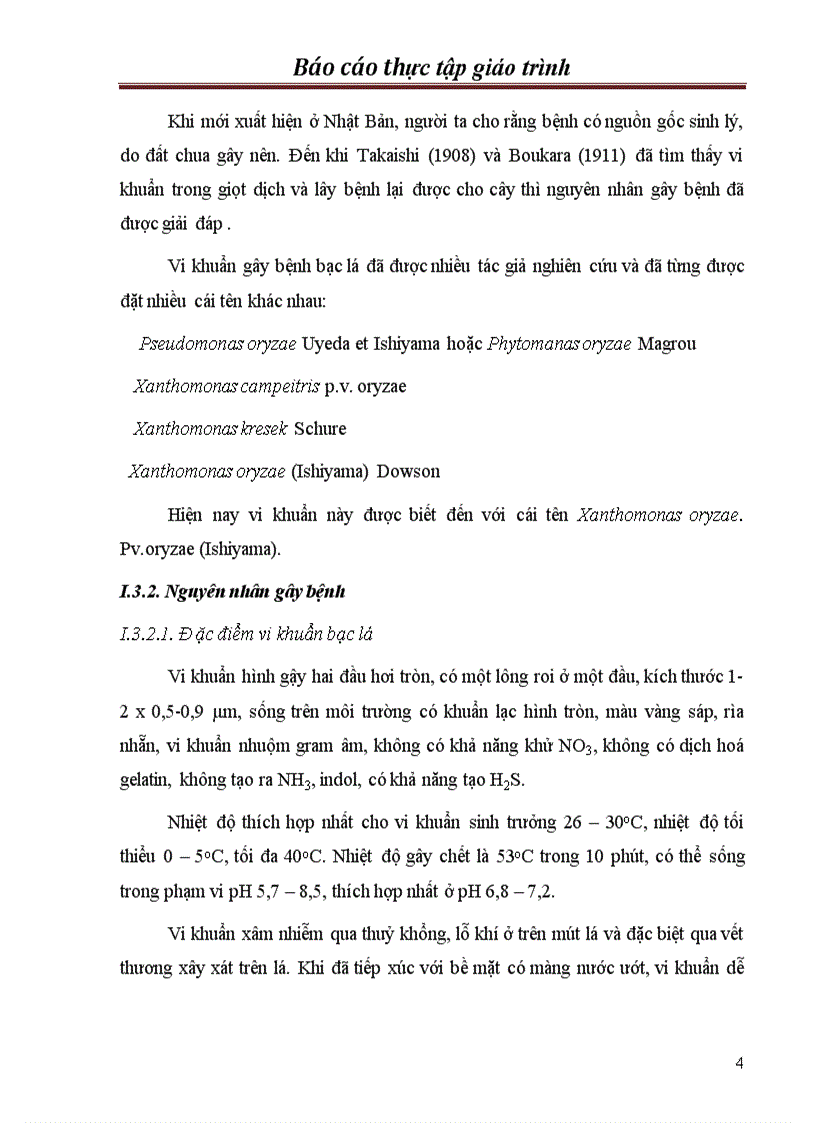 image for page Chọn tạo giống lúa kháng bạc lá trong hệ thống lúa lai hai dòng