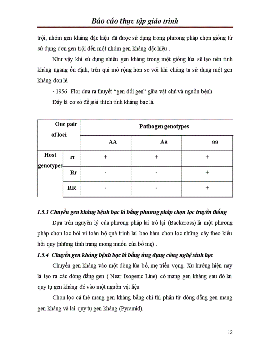 image for page Chọn tạo giống lúa kháng bạc lá trong hệ thống lúa lai hai dòng