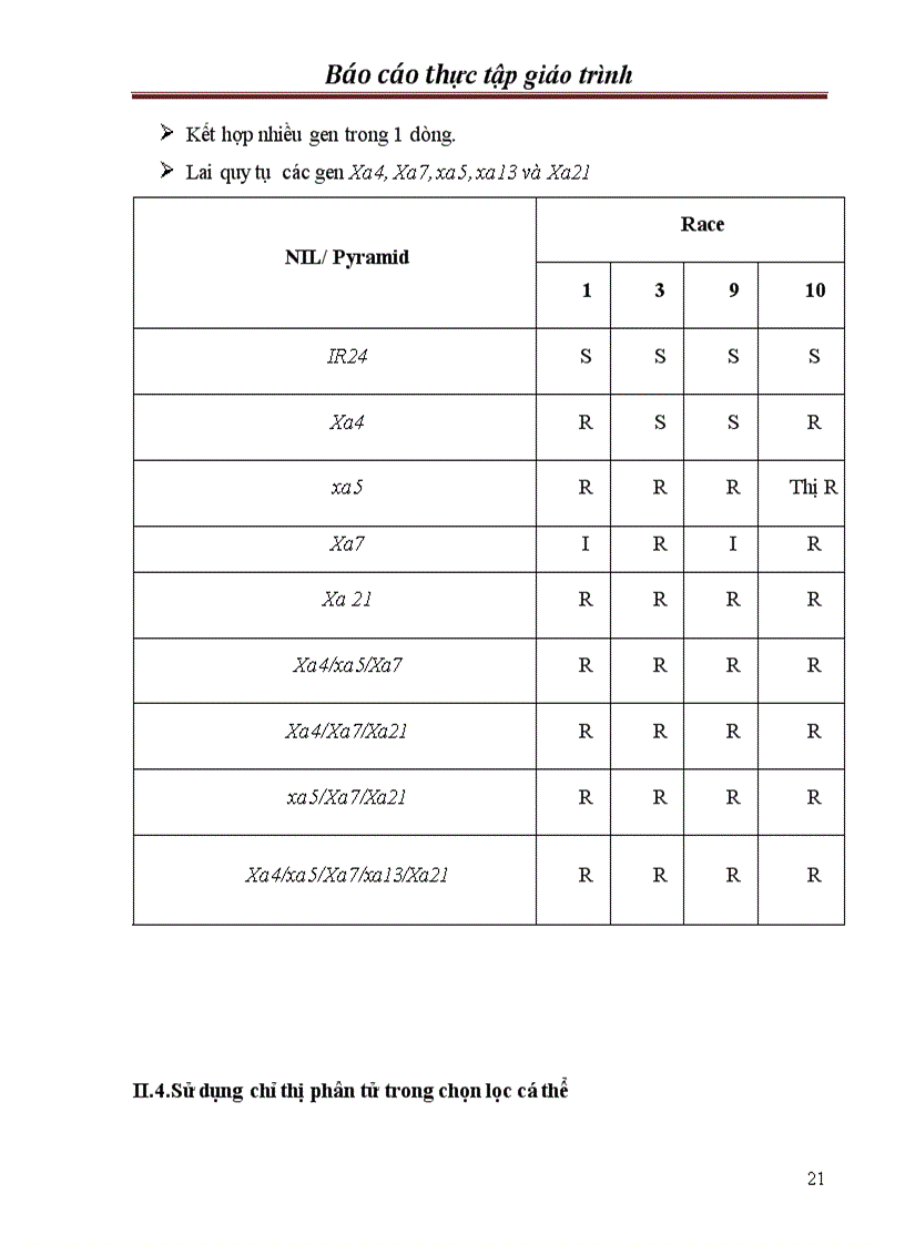 image for page Chọn tạo giống lúa kháng bạc lá trong hệ thống lúa lai hai dòng