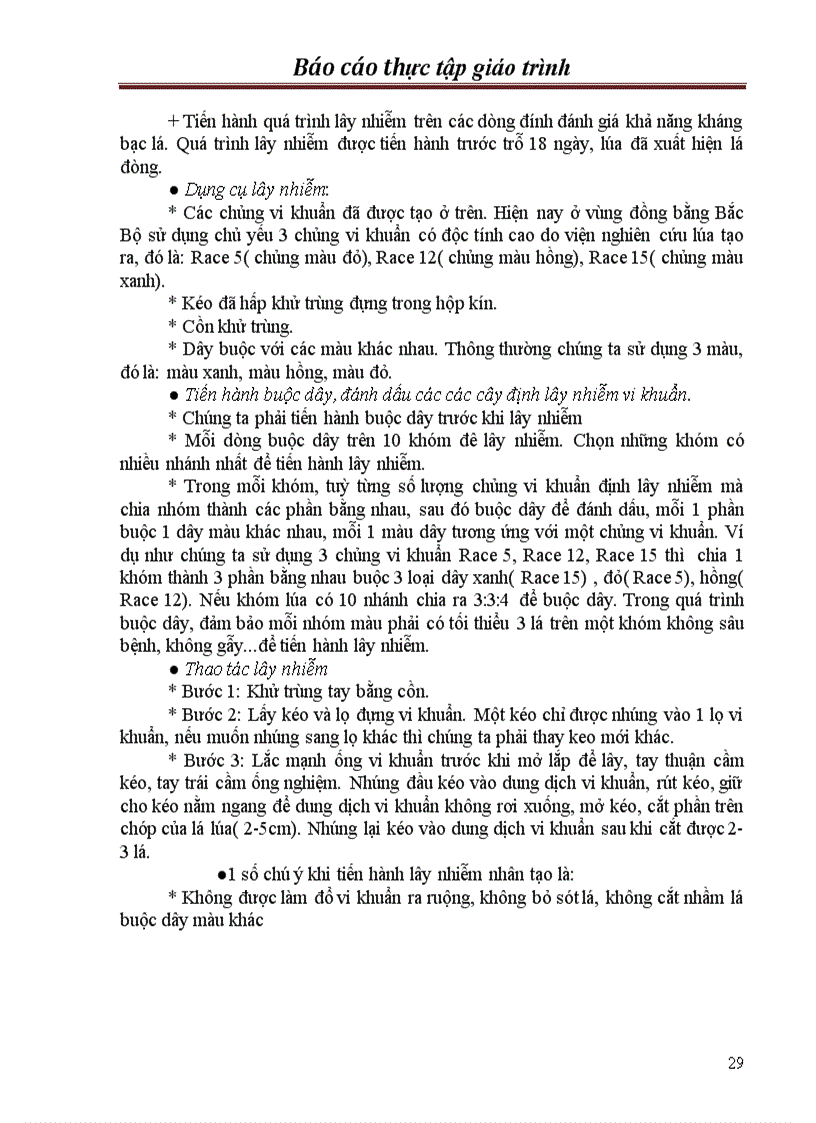 image for page Chọn tạo giống lúa kháng bạc lá trong hệ thống lúa lai hai dòng