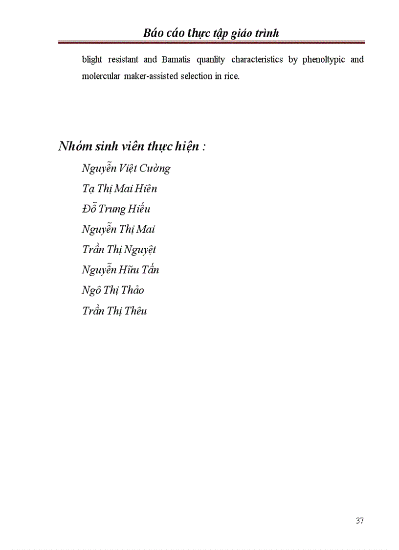 image for page Chọn tạo giống lúa kháng bạc lá trong hệ thống lúa lai hai dòng