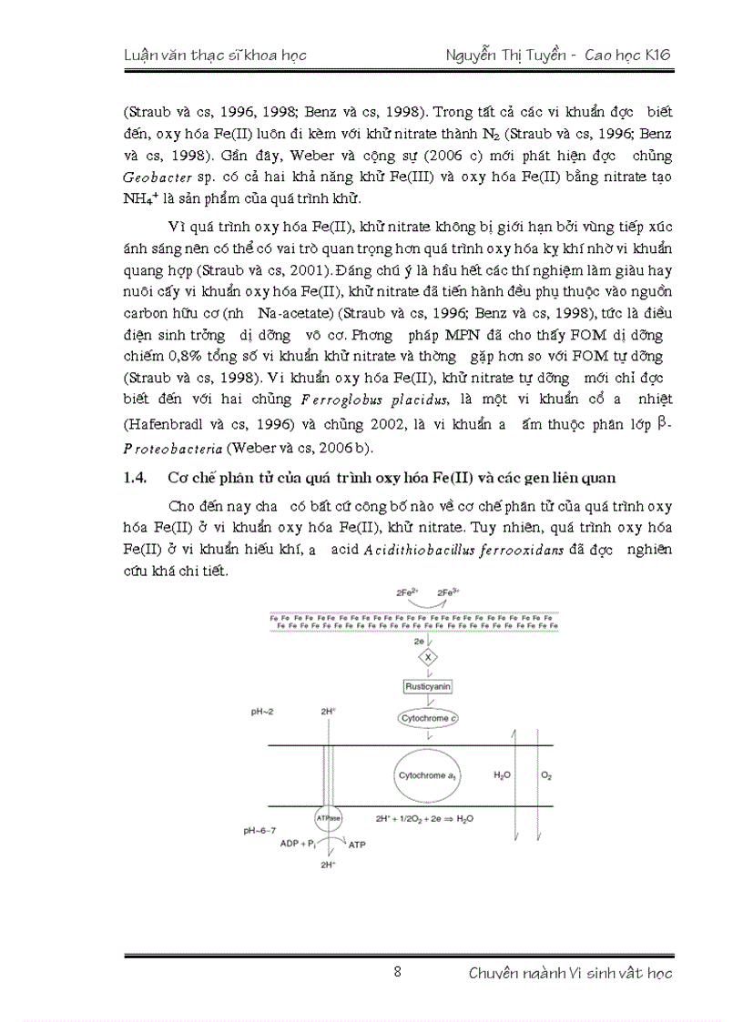 image for page VI KHUẨN OXY HÓA Fe II VÀ KHỬ NITRATE Ở VIỆT NAM TÍNH ĐA DẠNG VÀ TIỀM NĂNG ỨNG DỤNG