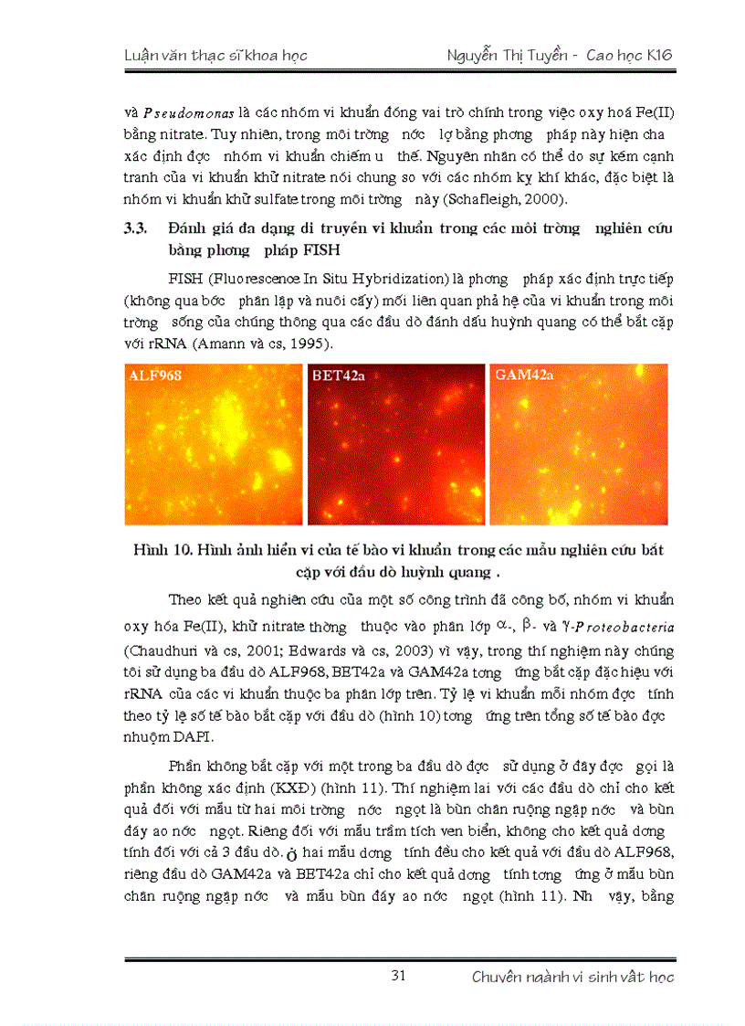 image for page VI KHUẨN OXY HÓA Fe II VÀ KHỬ NITRATE Ở VIỆT NAM TÍNH ĐA DẠNG VÀ TIỀM NĂNG ỨNG DỤNG