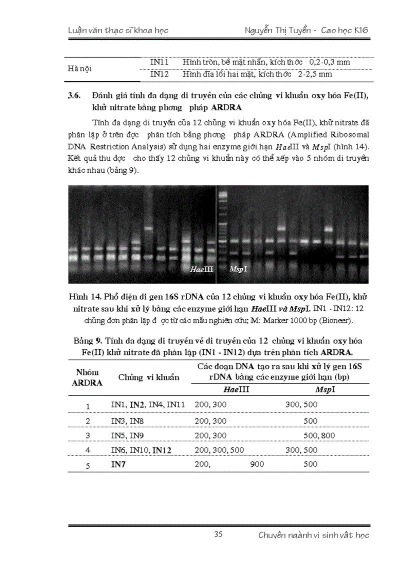 image for page VI KHUẨN OXY HÓA Fe II VÀ KHỬ NITRATE Ở VIỆT NAM TÍNH ĐA DẠNG VÀ TIỀM NĂNG ỨNG DỤNG