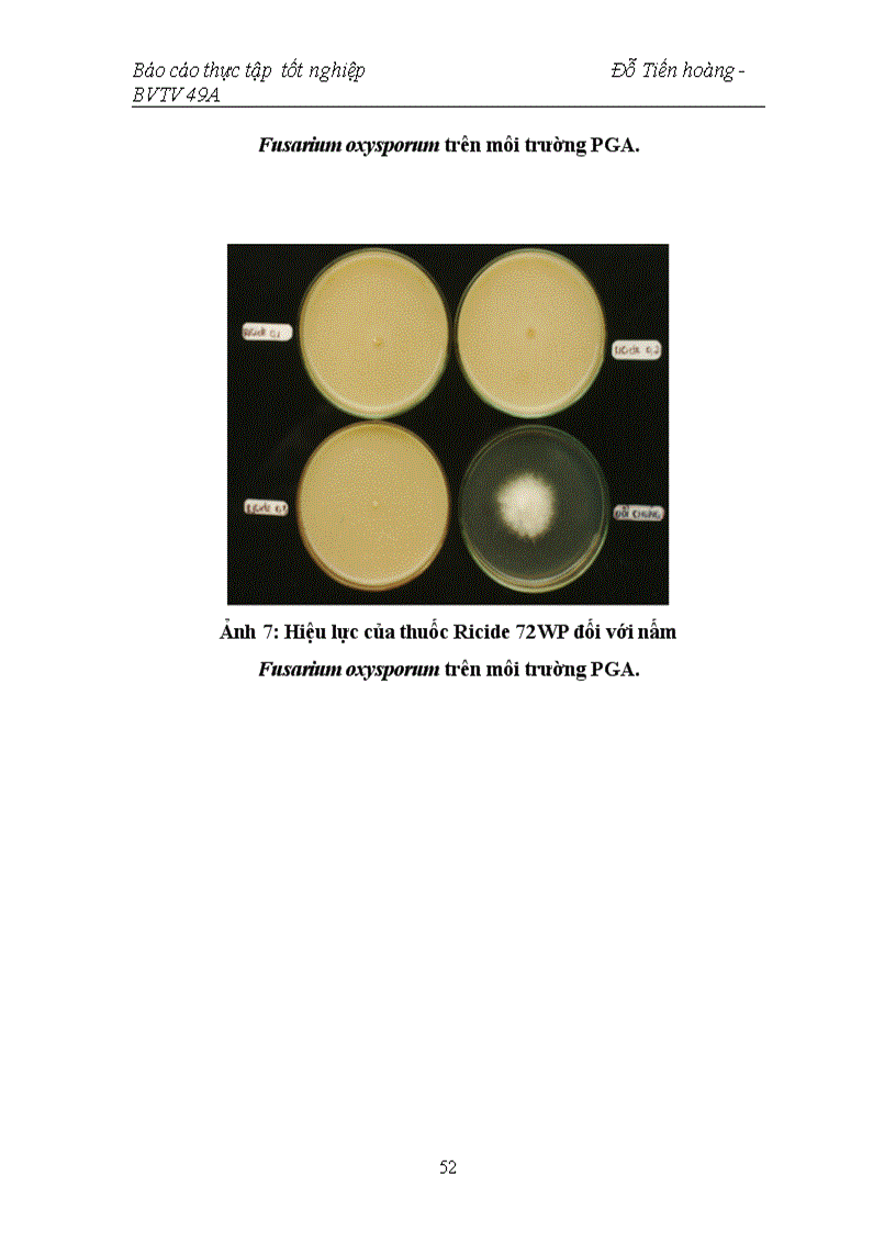 image for page Nghiên cứu bệnh héo vàng Fusarium oxysporum hại một số cây trồng cạn vụ hè thu năm 2007 tại vùng Gia Lâm Hà Nội và thử nghiệm chế phẩm sinh học ph