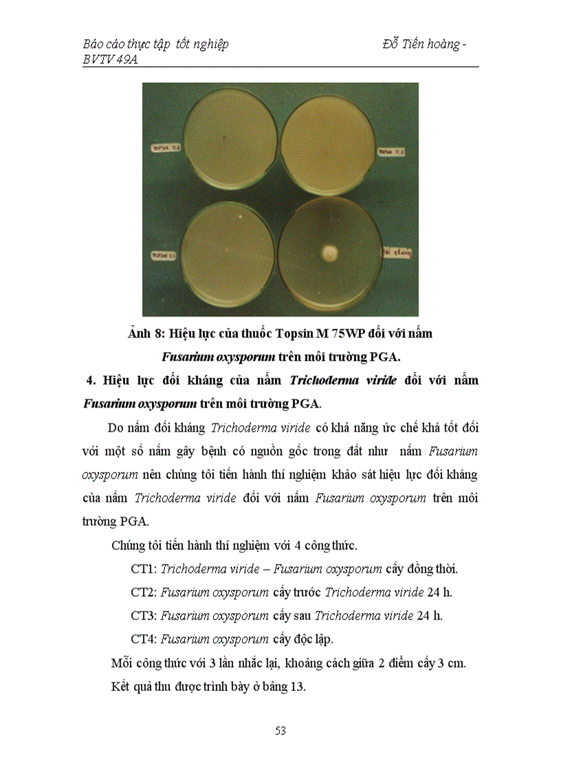 image for page Nghiên cứu bệnh héo vàng Fusarium oxysporum hại một số cây trồng cạn vụ hè thu năm 2007 tại vùng Gia Lâm Hà Nội và thử nghiệm chế phẩm sinh học ph