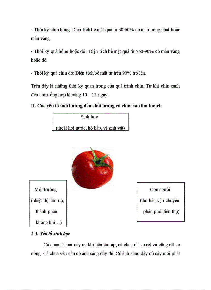 Nghiên cứu các yếu tố ảnh hưởng đến cà chua