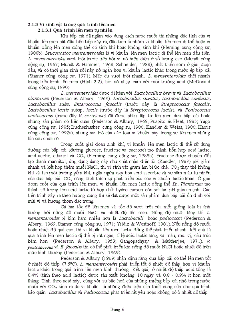 image for page Vi khuẩn lactic