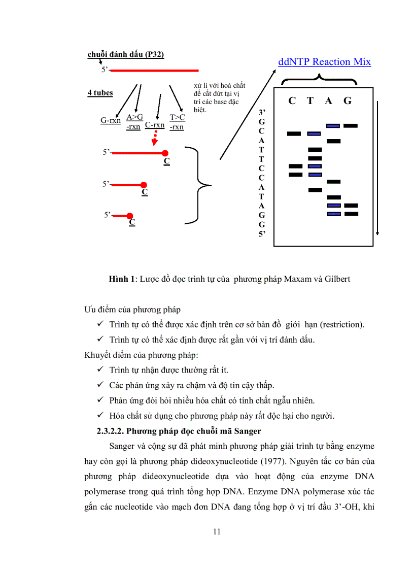 image for page Bước đầu đọc trình tự vùng rDNA ITS của nấm Rhizoctonia solani Kuhn