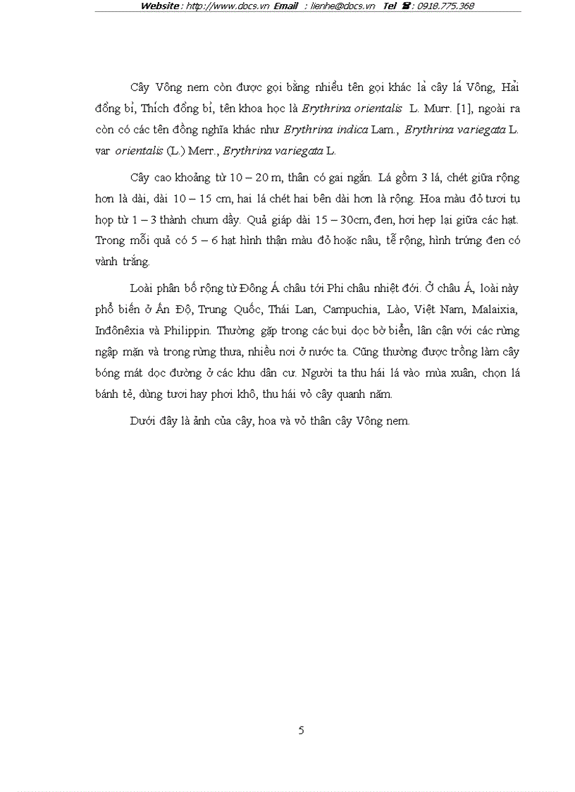 image for page Nghiên cứu Cây Vông nem Erythrina orientalis L Murr Fabaceae