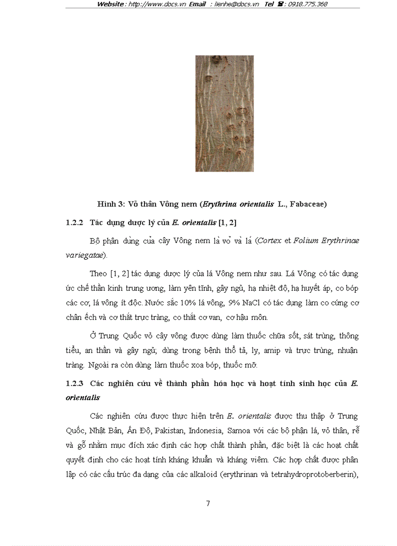 image for page Nghiên cứu Cây Vông nem Erythrina orientalis L Murr Fabaceae