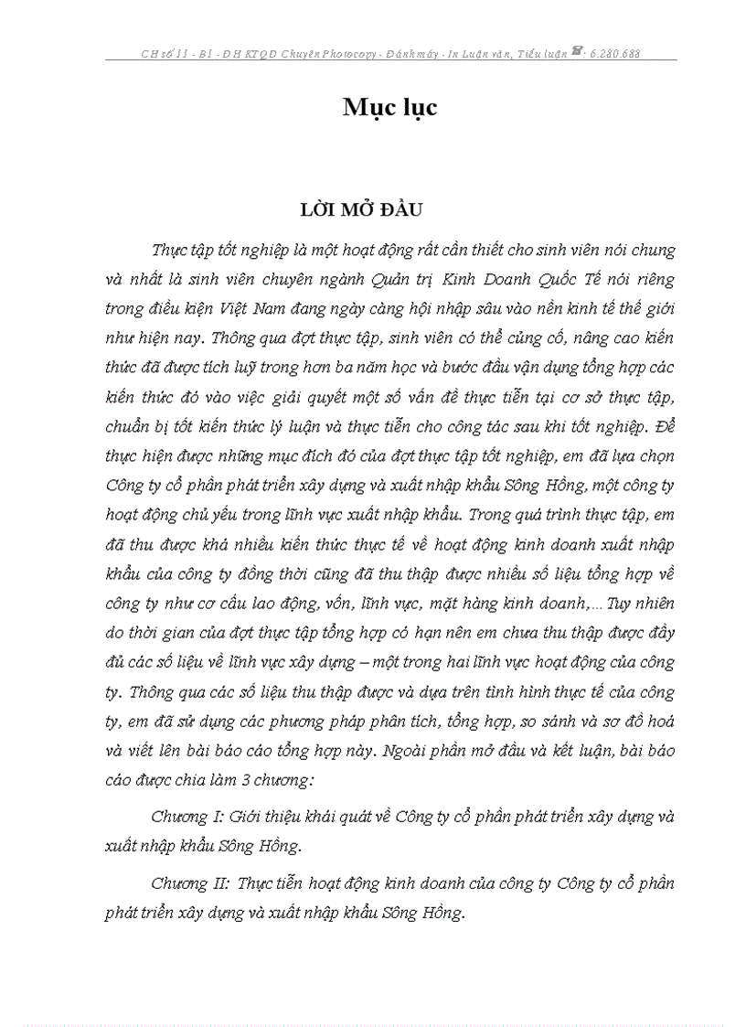 Thực tiễn hoạt động kinh doanh của công ty Công ty cổ phần phát triển xây dựng và xuất nhập khẩu Sông Hồng