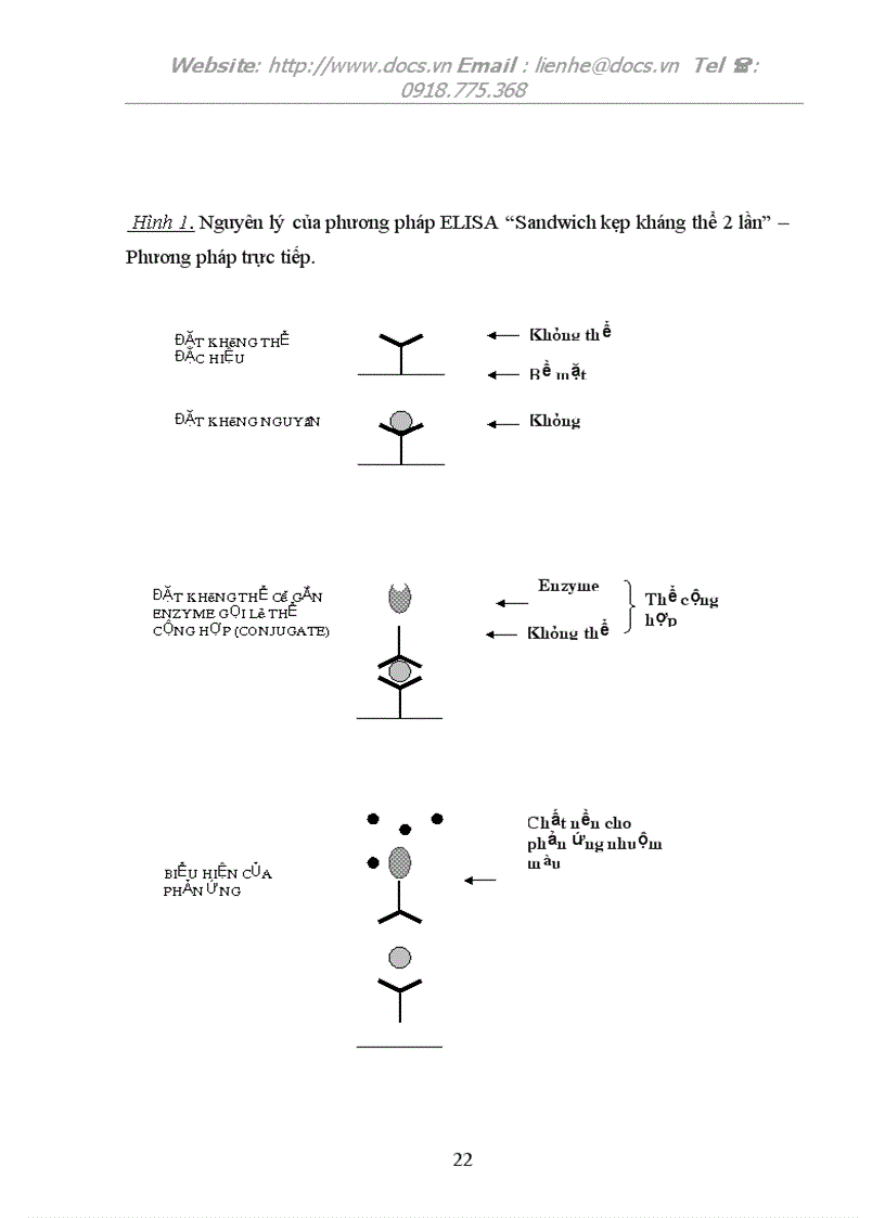 image for page Bệnh học thực vật