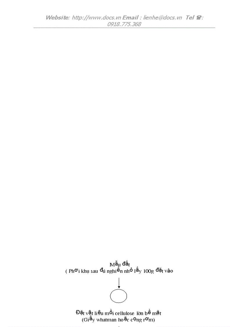 image for page Bệnh học thực vật