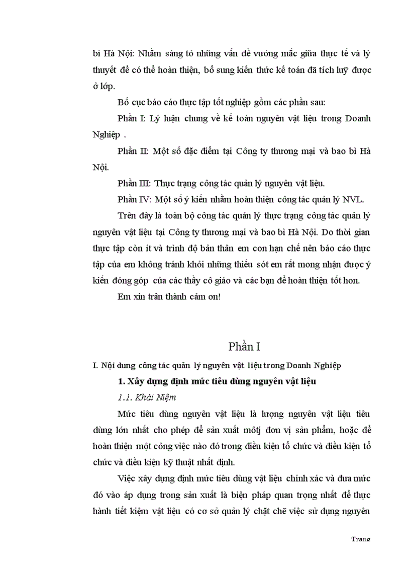 Công tác quản lý Nguyên Vật Liệu tại Công ty thương mại và bao bì Hà Nội