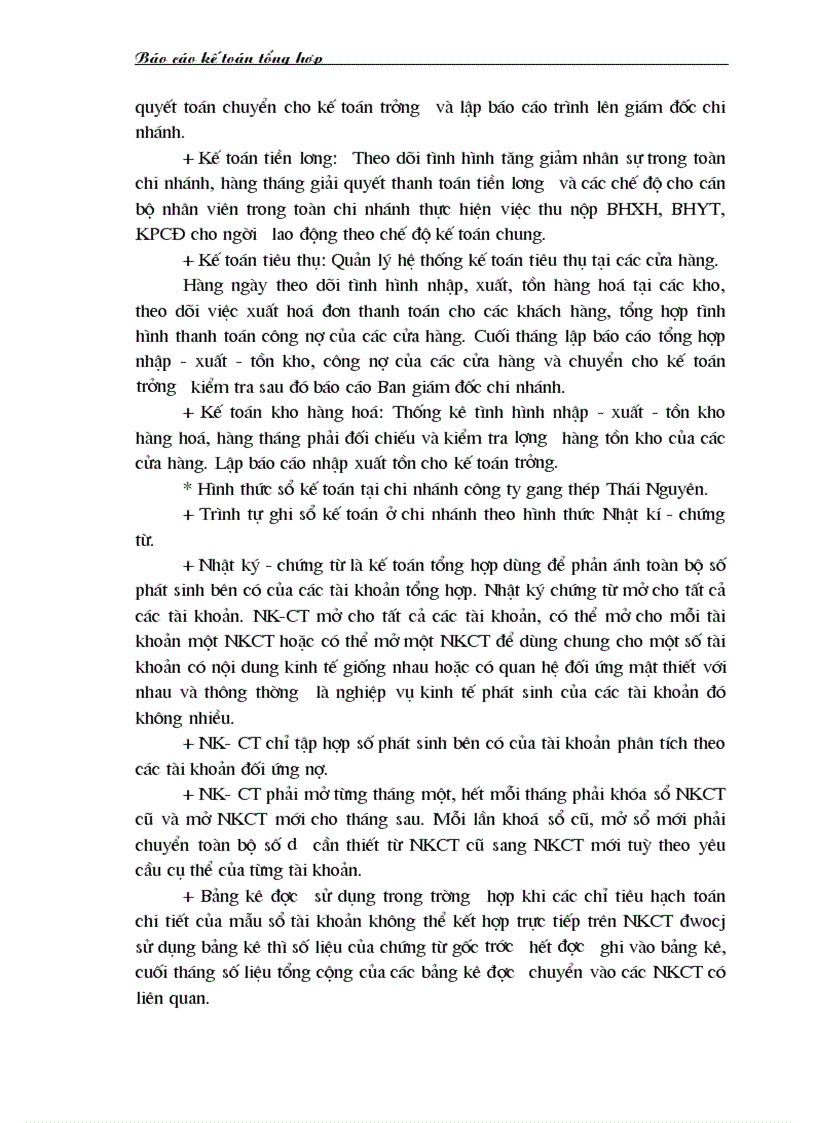 image for page Báo cáo kế toán tổng hợp tại Chi nhánh Công ty gang thép Thái Nguyên