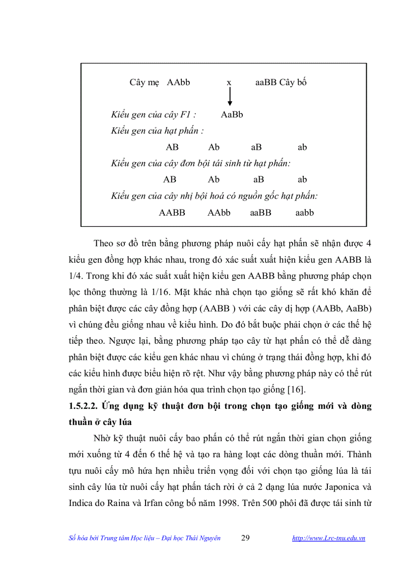 image for page Nghiên cứu tạo vật liệu khởi đầu phục vụ chọn tạo giống bằng kỹ thuật nuôi cấy bao phấn ở cây lúa