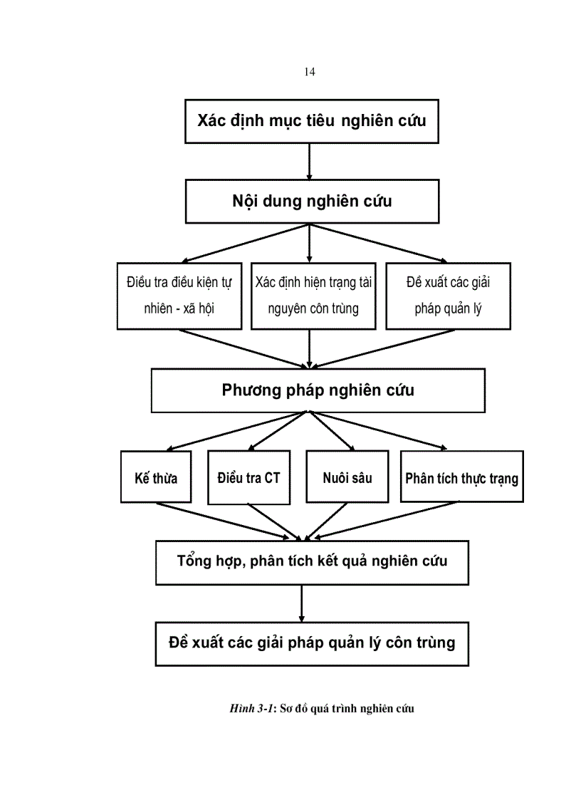 image for page Nghiên cứu các giải pháp quản lý côn trùng trong khu bảo tồn thiên Thiên rừng sến tam qui hà trung thanh hoá