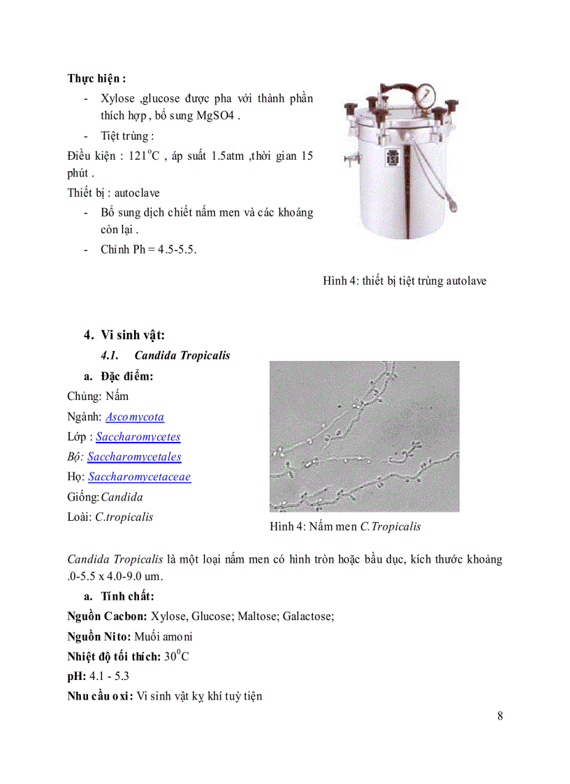 image for page Công nghệ sản xuất xylitol bằng phương pháp lên men