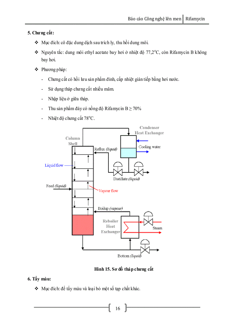 image for page Công nghệ lên men Rifamycin