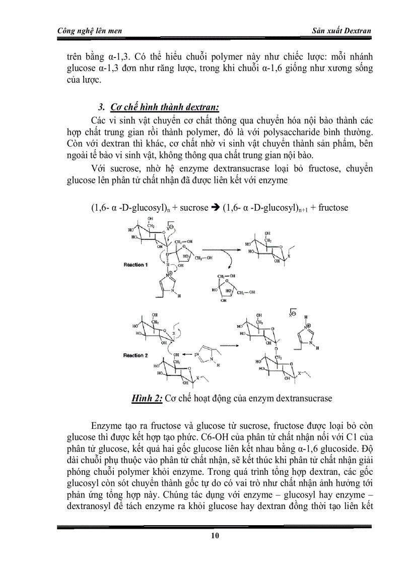 Công nghệ len men sản xuất Dextran