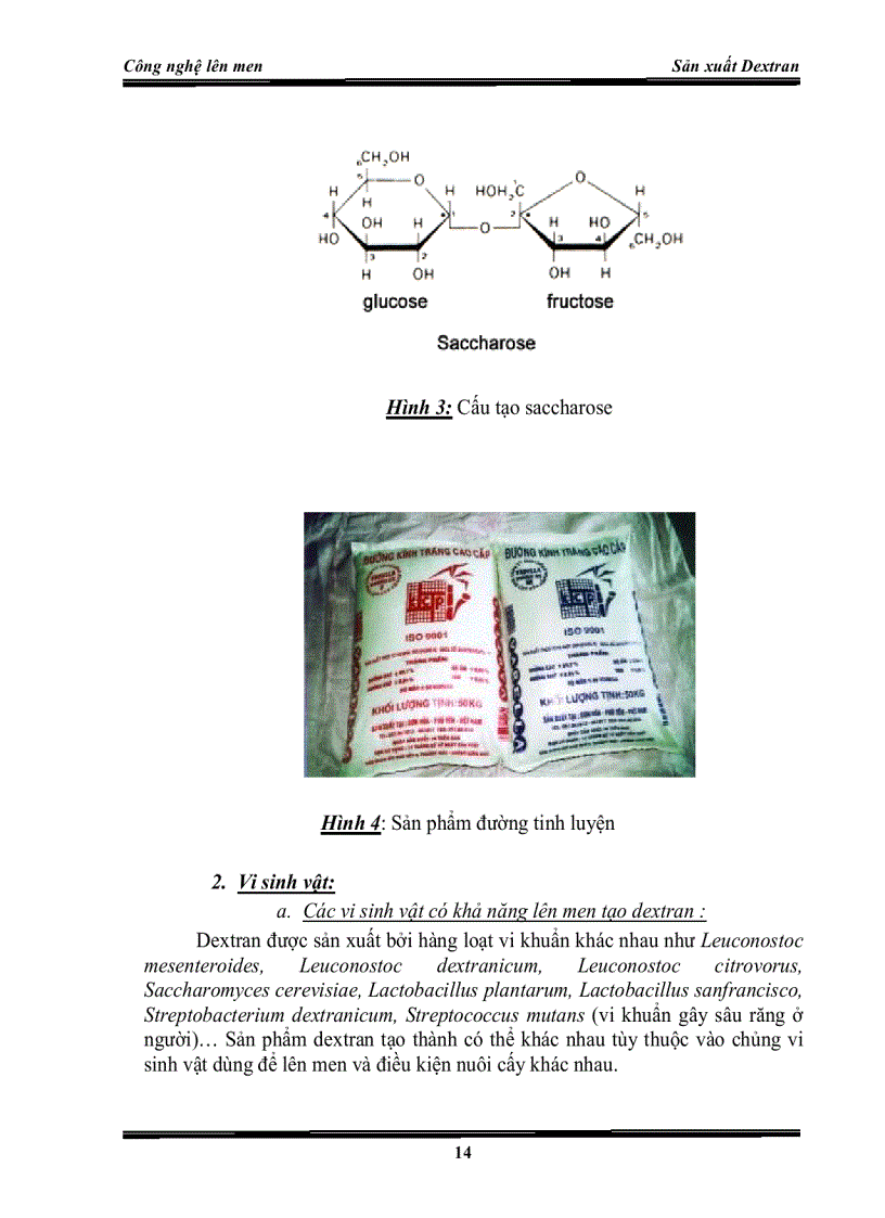 Công nghệ len men sản xuất Dextran