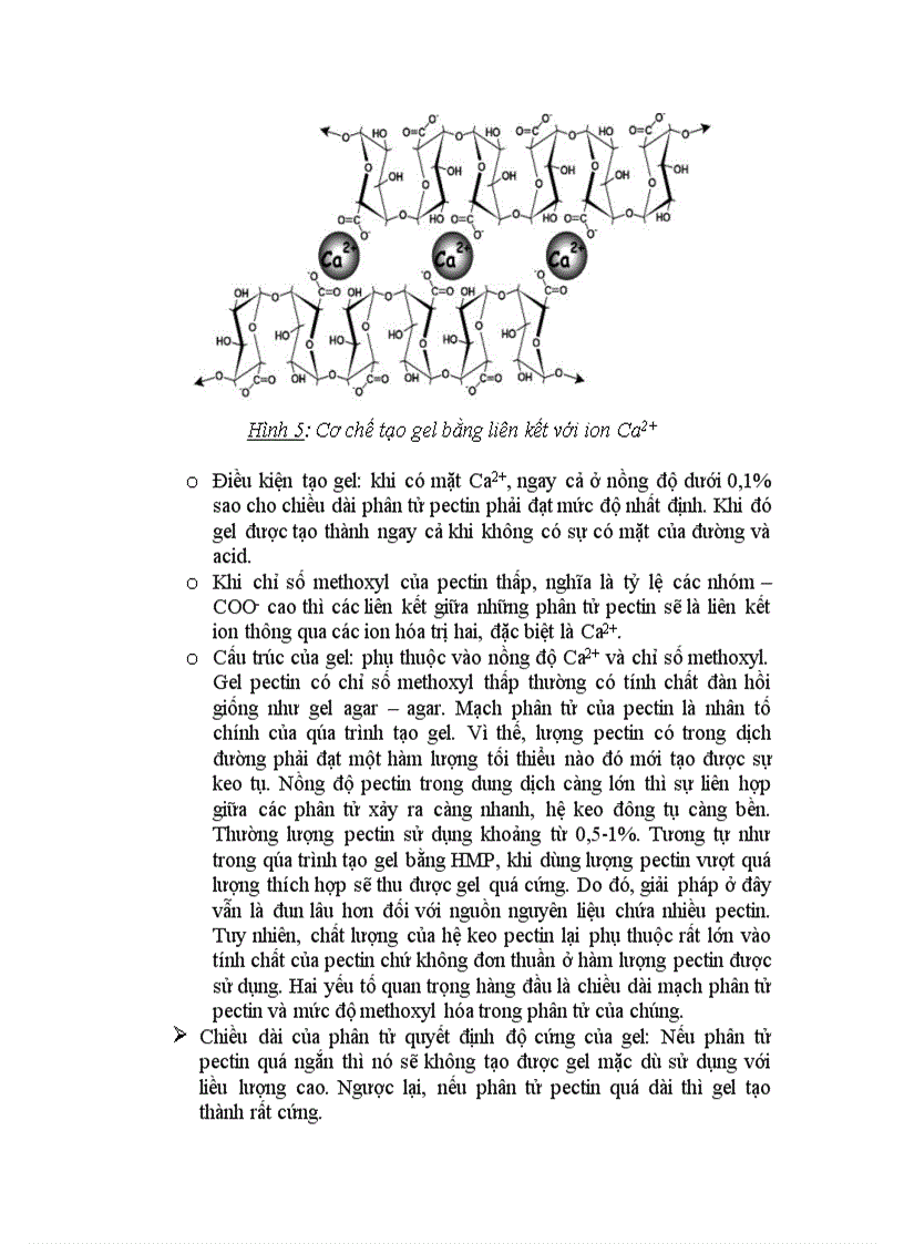 image for page Công nghệ chế biến mứt đông Jelly Jam và Marmalade