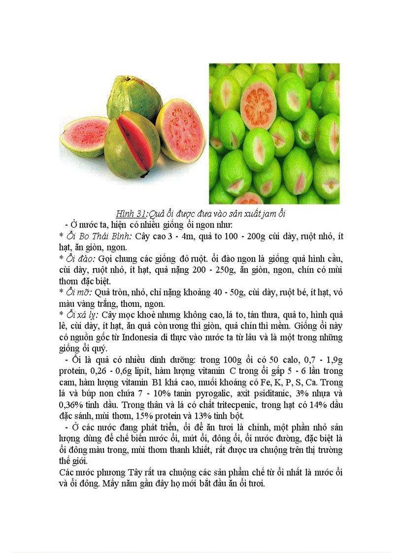 image for page Công nghệ chế biến mứt đông Jelly Jam và Marmalade