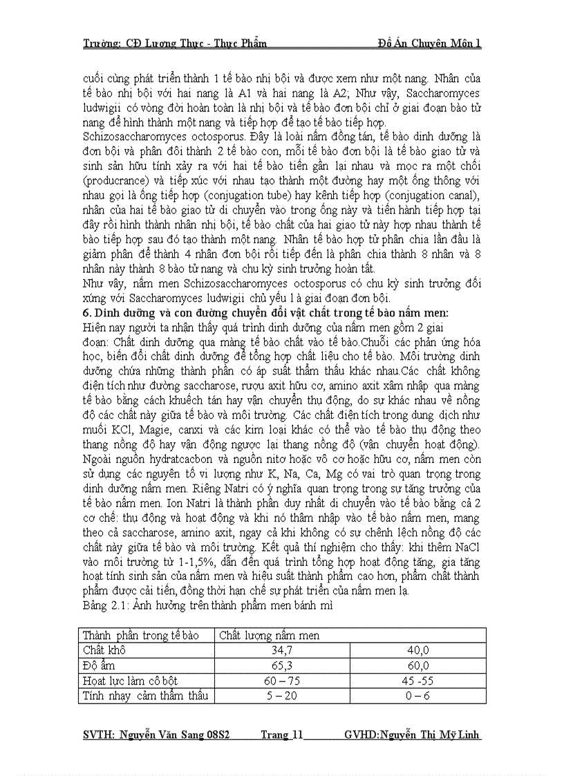 image for page Ứng dụng nấm men trong sản xuất bánh mì