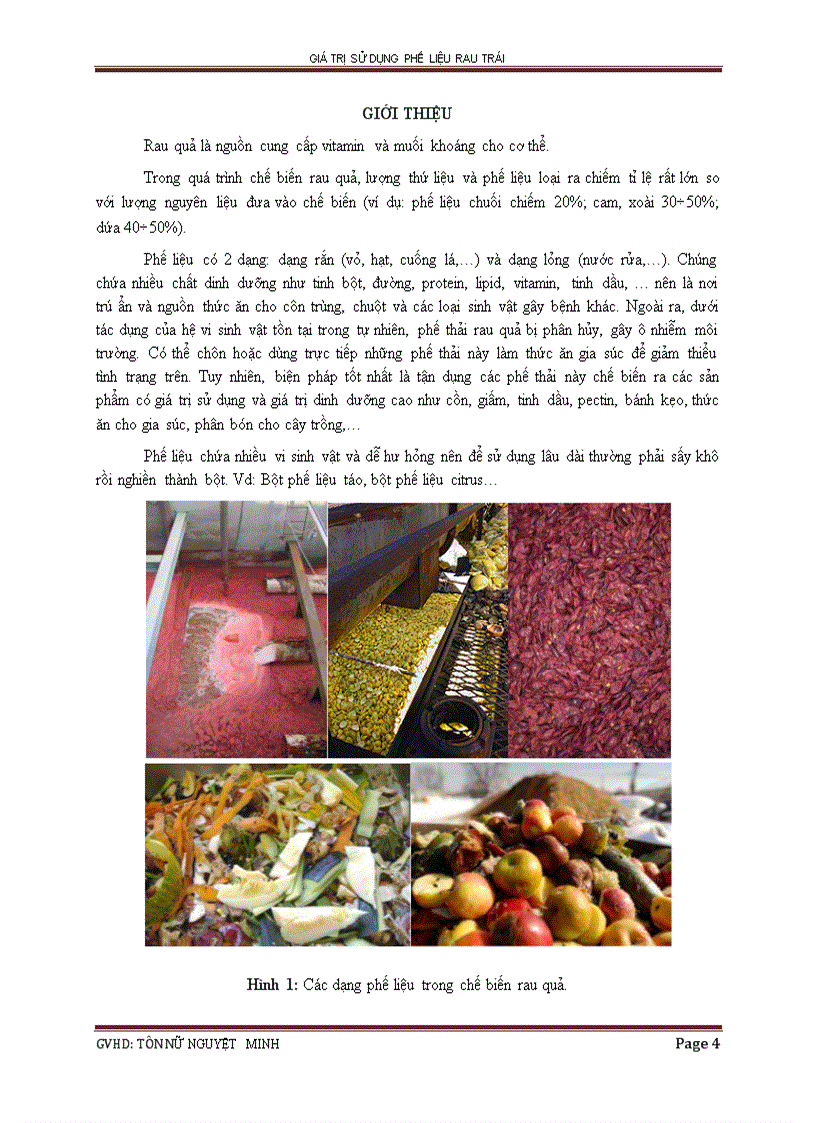 image for page Giá trị sử dụng phế liệu trong chế biến rau quả