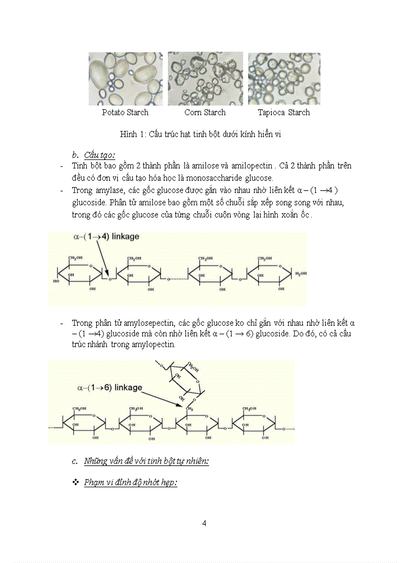 image for page Tổng quan tài liệu về tinh bột biến tính