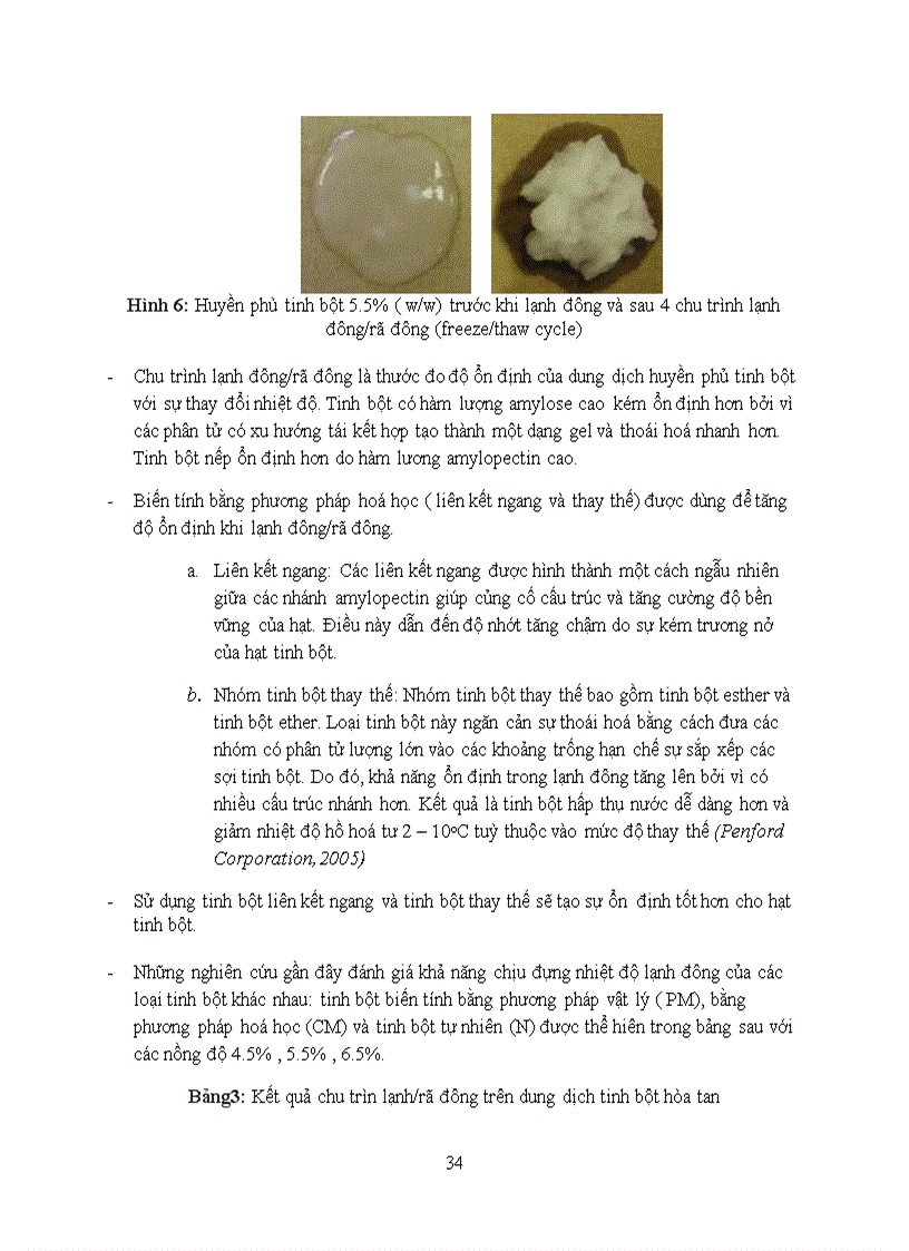 image for page Tổng quan tài liệu về tinh bột biến tính