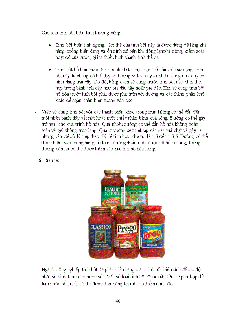 image for page Tổng quan tài liệu về tinh bột biến tính
