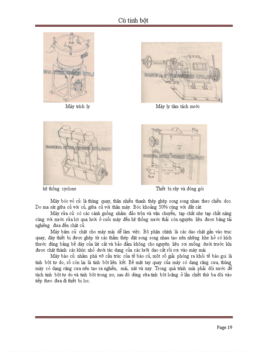 image for page Củ tinh bột và giá trị sử dụng