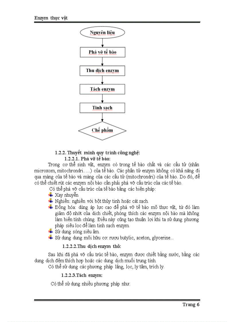 image for page Enzyme từ thực vật