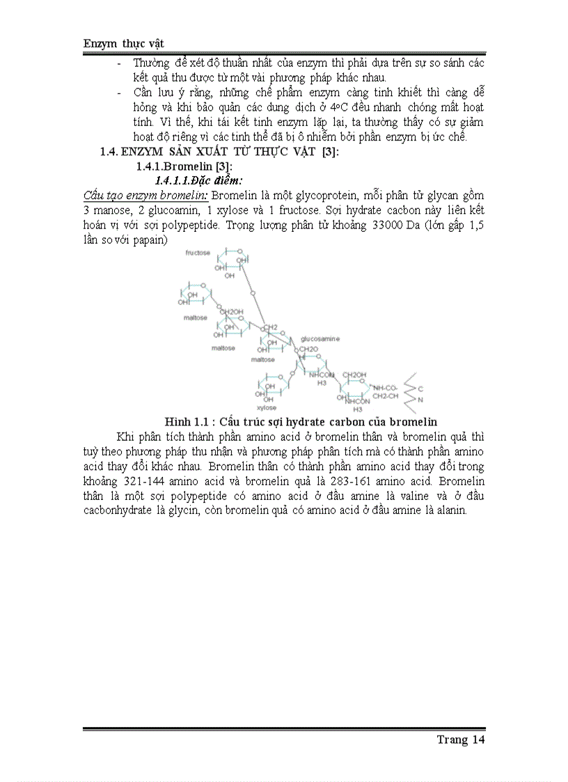 image for page Enzyme từ thực vật