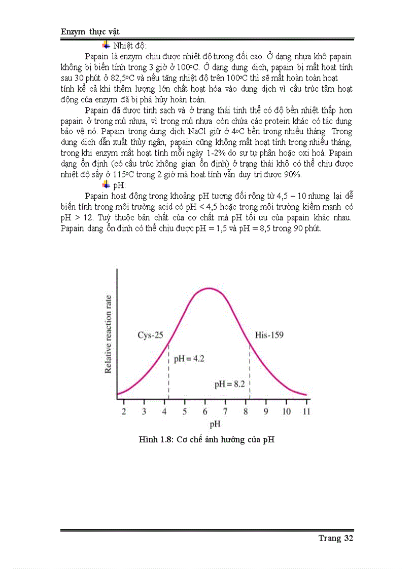 image for page Enzyme từ thực vật